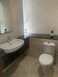 Residences @ Evelyn (D11), Condominium #491696151